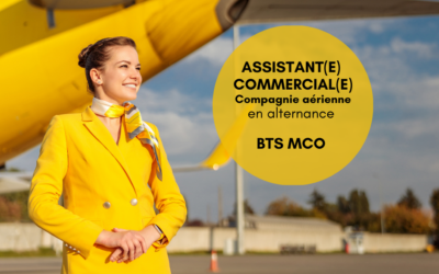 ASSISTANT(E) COMMERCIAL(E) – Compagnie aérienne –  REF106ag