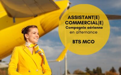ASSISTANT(E) COMMERCIAL(E) – Compagnie aérienne –  REF106ag