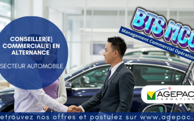 CONSEILLER(E) COMMERCIAL(E) EN ALTERNANCE – SECTEUR AUTOMOBILE  | REF952