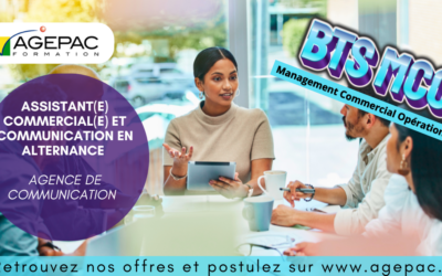 ASSISTANT(E) COMMERCIAL(E) ET COMMUNICATION EN ALTERNANCE – AGENCE DE COMMUNICATION | REF954AG