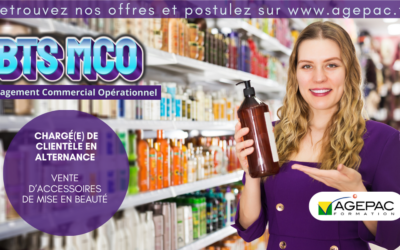 CHARGÉ(E) DE CLIENTÈLE EN ALTERNANCE – Vente d’accessoires de mise en beauté | REF958AG