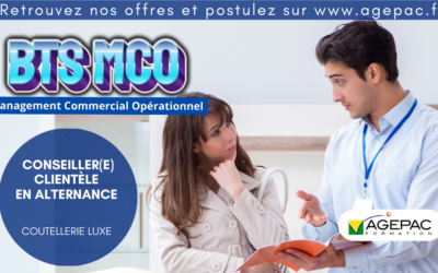 CONSEILLER(E) CLIENTÈLE EN ALTERNANCE – COUTELLERIE LUXE – REF988AG